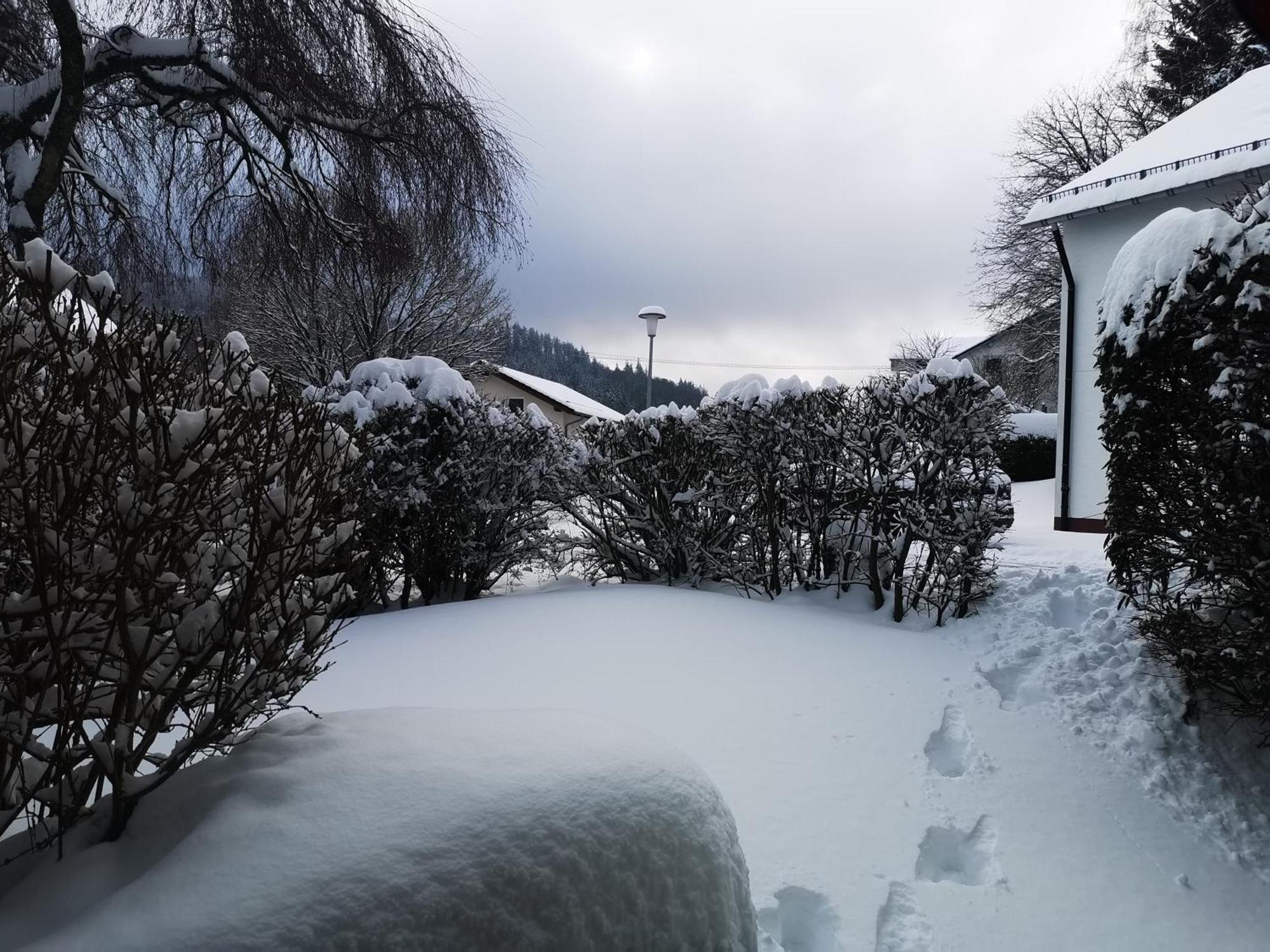 Fewo Kuhlmann Willingen  Esterno foto
