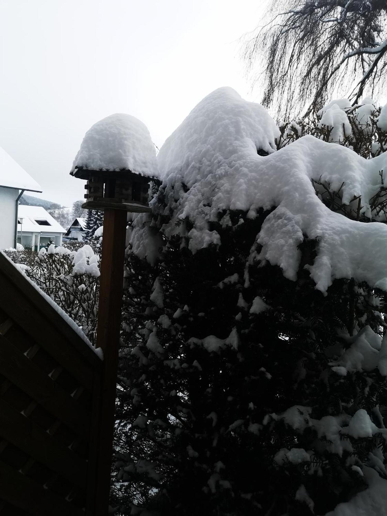 Fewo Kuhlmann Willingen  Esterno foto